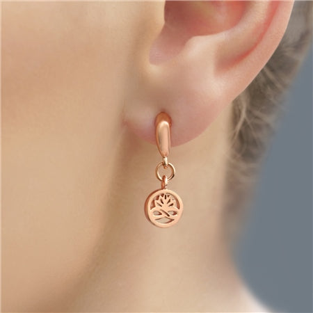 Newbridge Rose Gold Plated Stud Earrings
