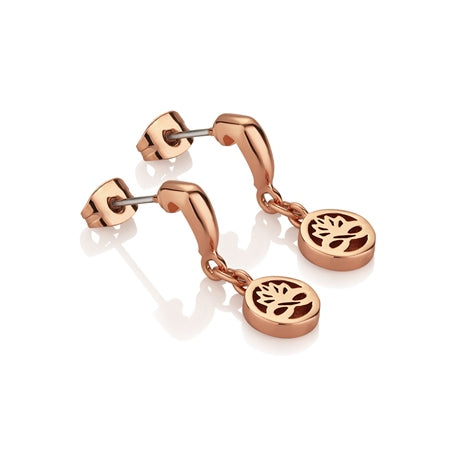 Newbridge Rose Gold Plated Stud Earrings
