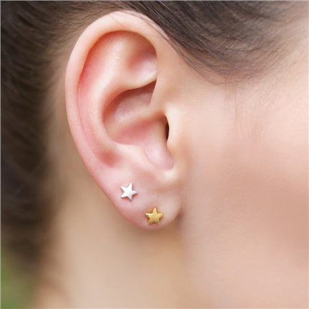 Newbridge Star Stud Earrings
