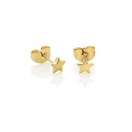 Newbridge Star Stud Earrings