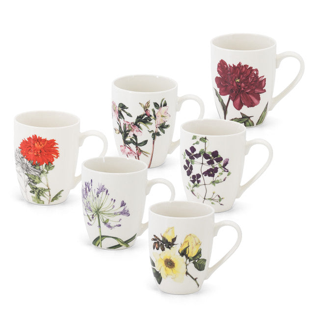 Tipperary Crystal Botanic Studio Set Of 6 Mugs