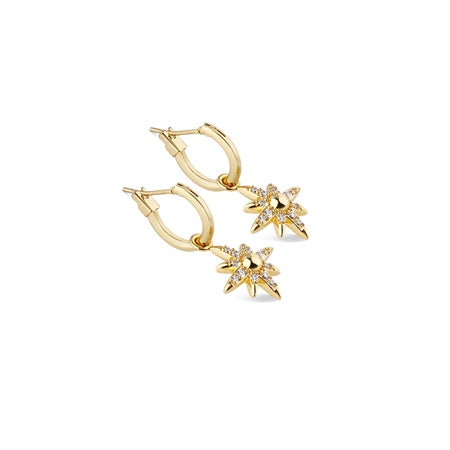 Newbridge Amy Star Earrings with Clear Stones
