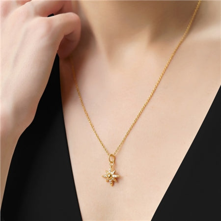 Newbridge Gold Plated Star Pendant with Clear Stones