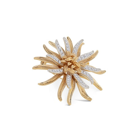 Newbridge Silver & Gold Plated Star Brooch with Clear Stones