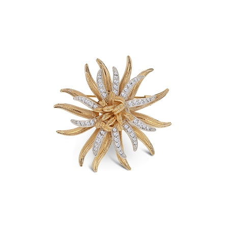 Newbridge Silver & Gold Plated Star Brooch with Clear Stones