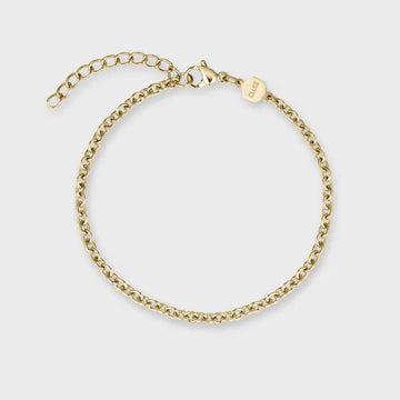 Cluse Gift Box La Tétragone Watch Steel & Curb Chain Bracelet, Gold Colour
