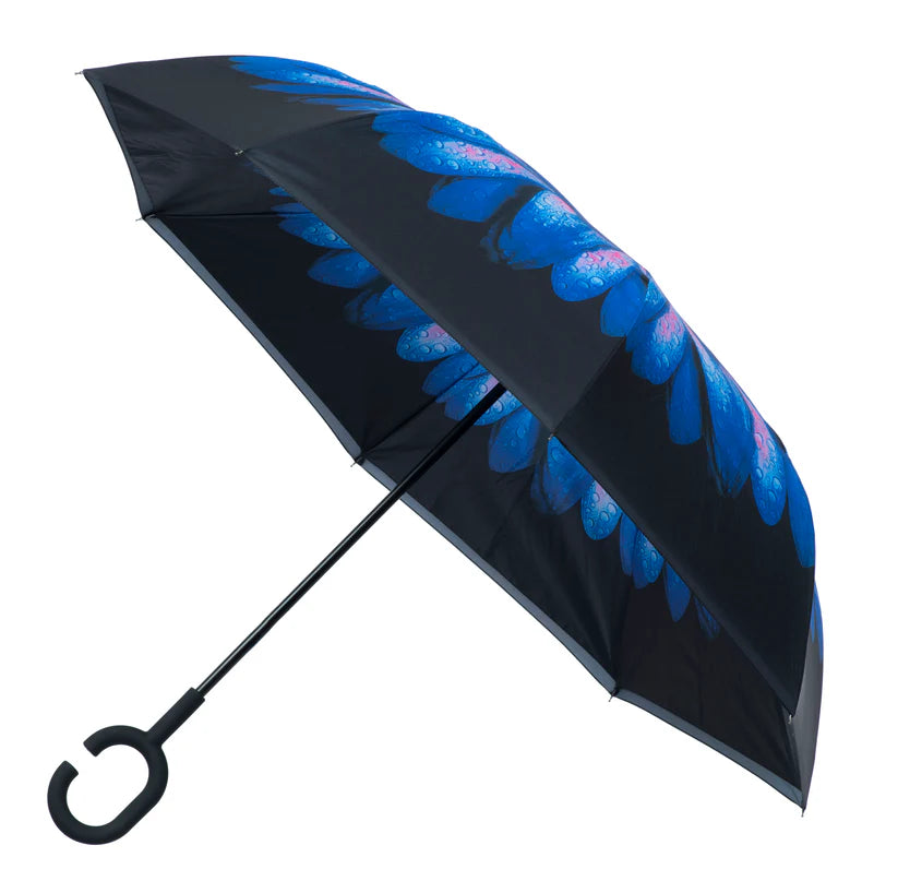 Soake Everyday Inside Out Blue Daisy Stick