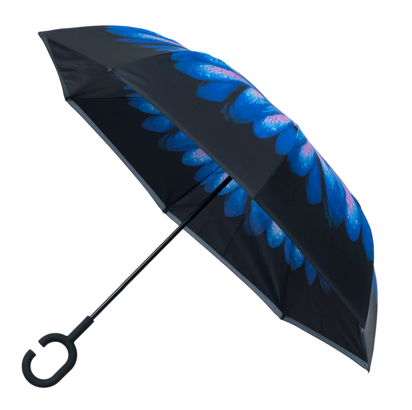 Soake Everyday Inside Out Blue Daisy Stick