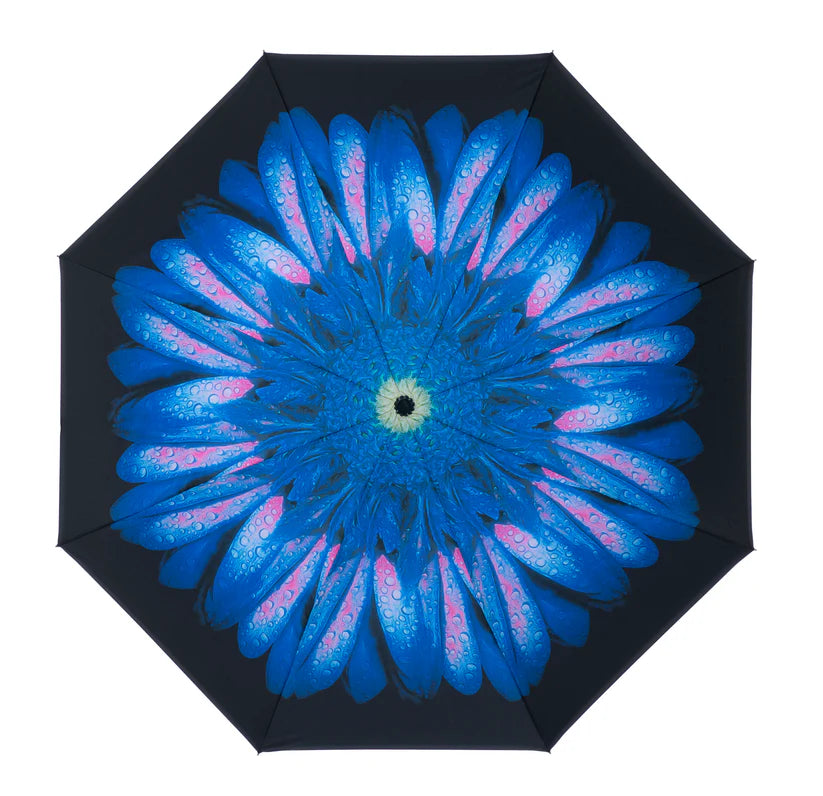 Soake Everyday Inside Out Blue Daisy Stick