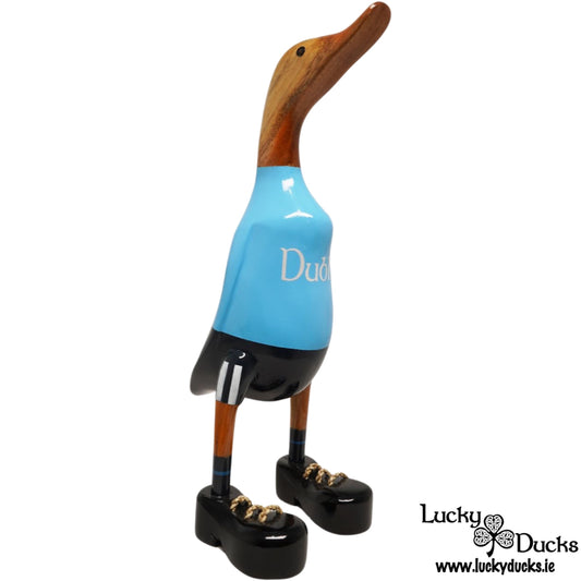 Dublin County Duck