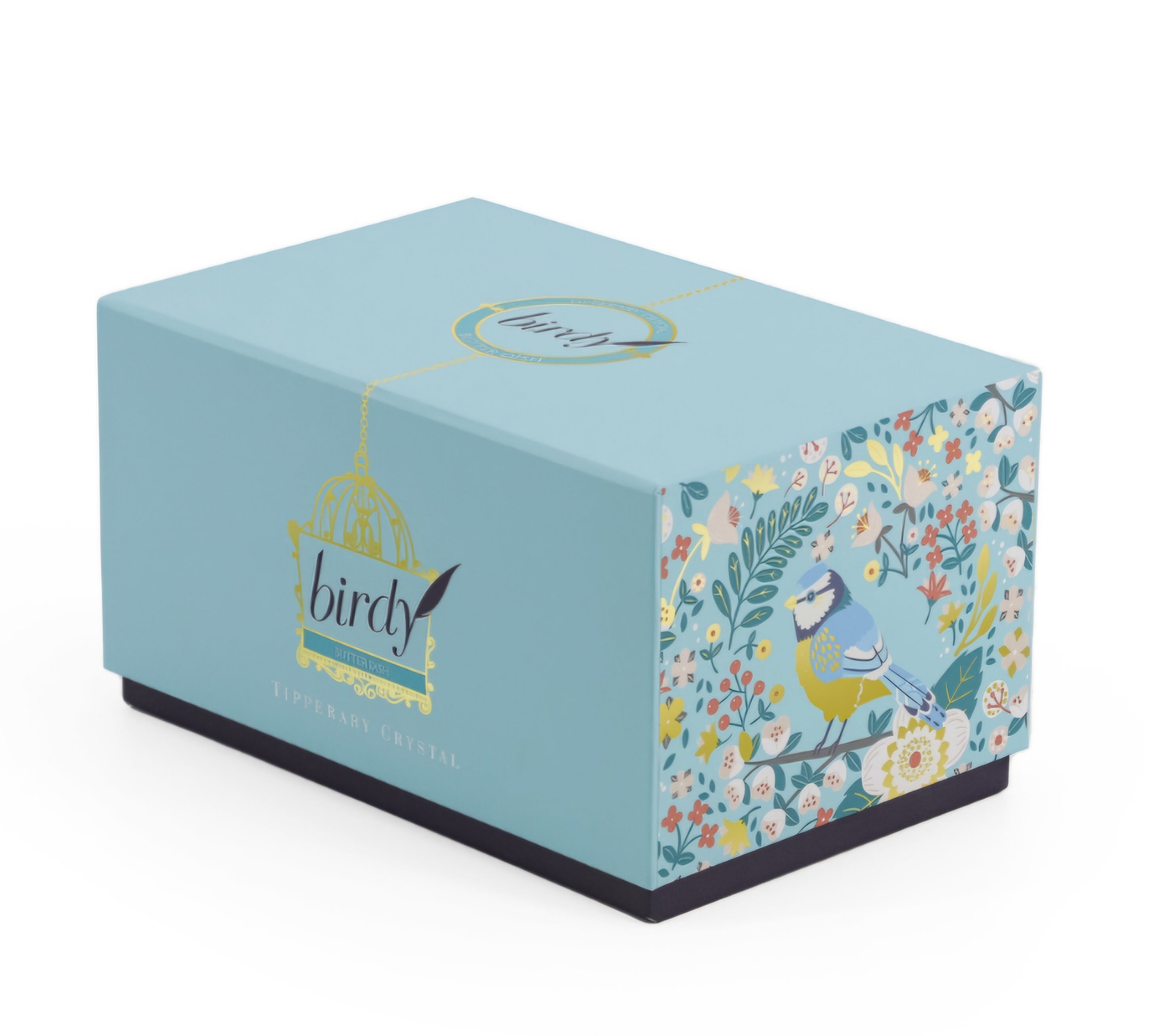Tipperary Birdy Robin & Blue Tit Tea Pot