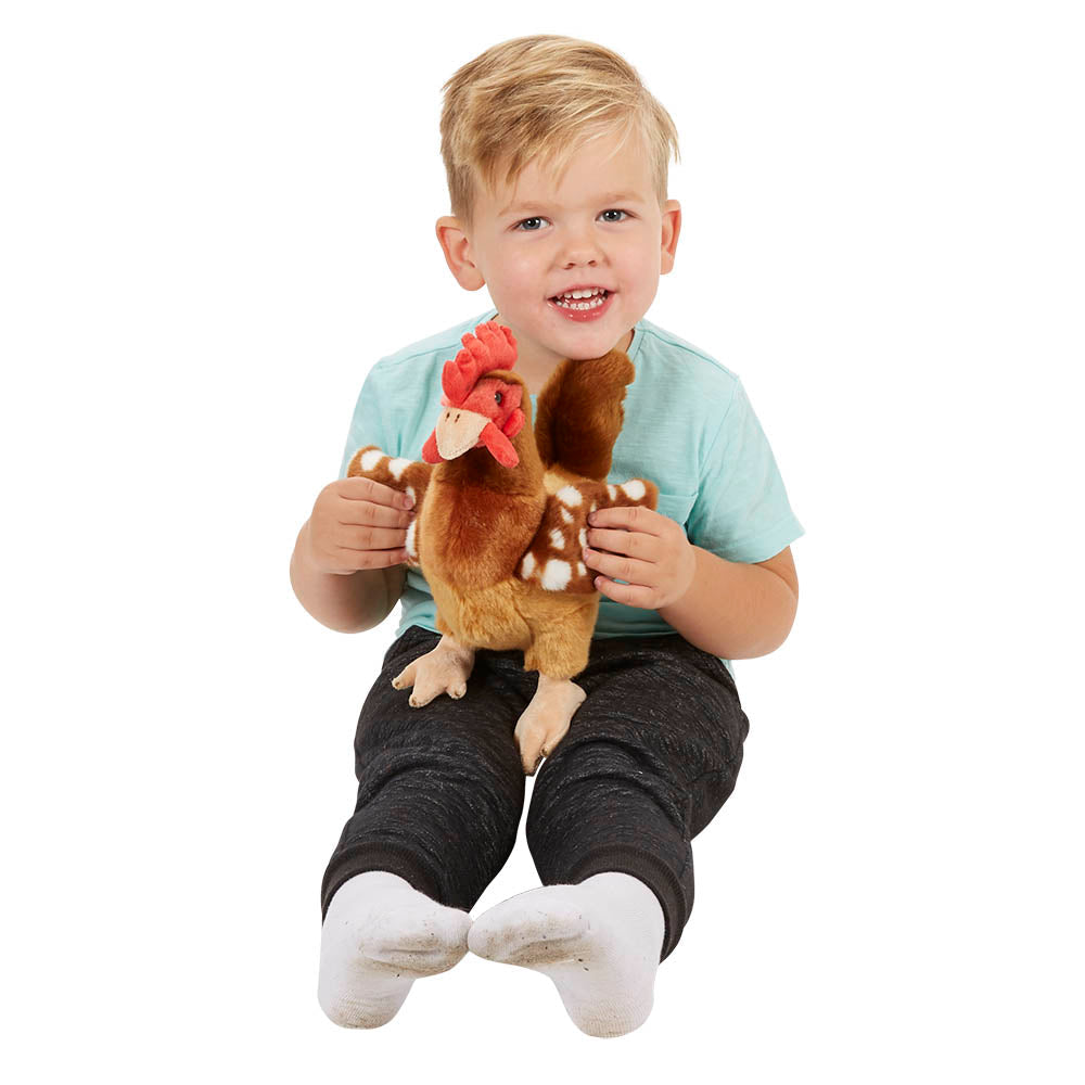 Chicken – Wilberry Favourites