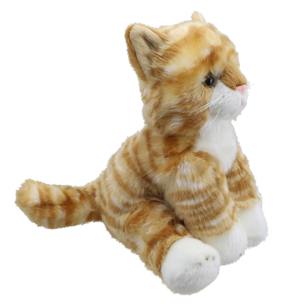 Cat (Ginger) – Wilberry Favourites