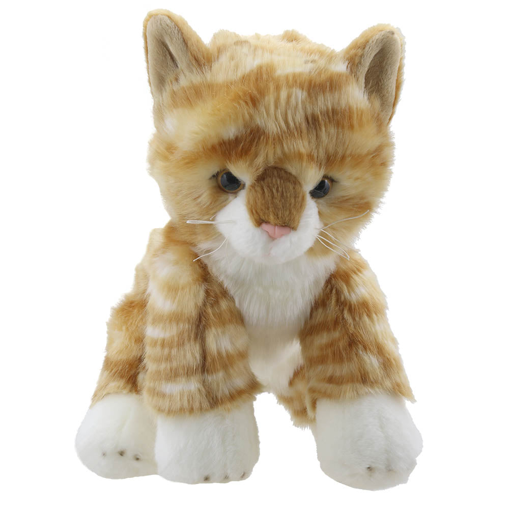 Cat (Ginger) – Wilberry Favourites