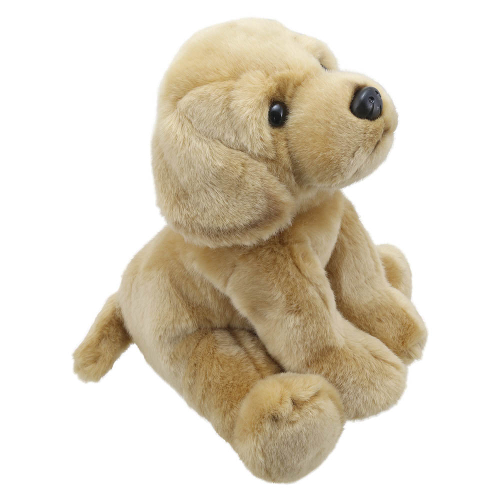 Labrador (Yellow) – Wilberry Favourites