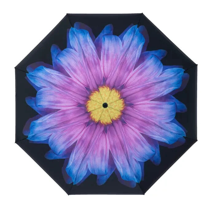 Soake Everyday Inside Out Purple Daisy Stick